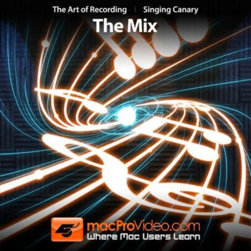 The Mix in The Art of Recoding