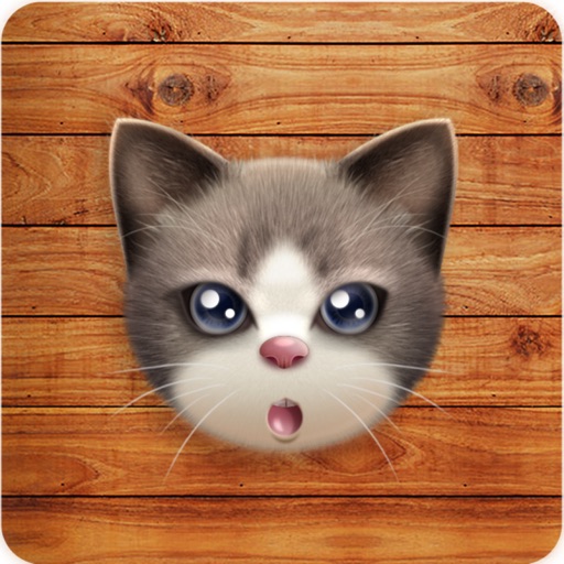 cats for games Icon