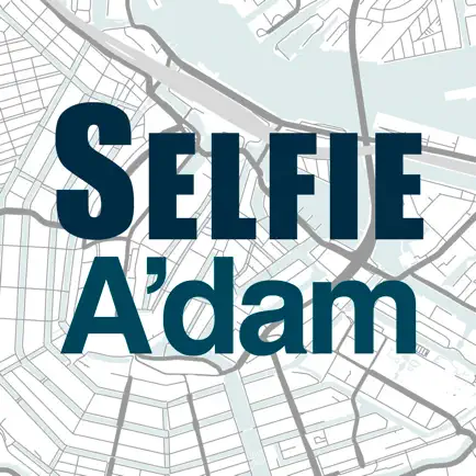 Selfie Amsterdam Читы