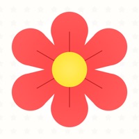  Daisy Application Similaire