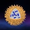 科学 - 小宇宙3D：細菌、ウイルス、原子、分子や粒子