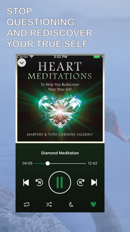 Heart Meditations