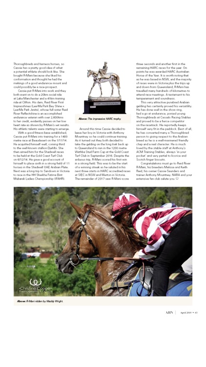 Australian Arabian Horse News screenshot-3