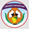 Cepkent Pamukova