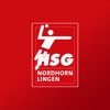 HSG Nordhorn-Lingen Portal