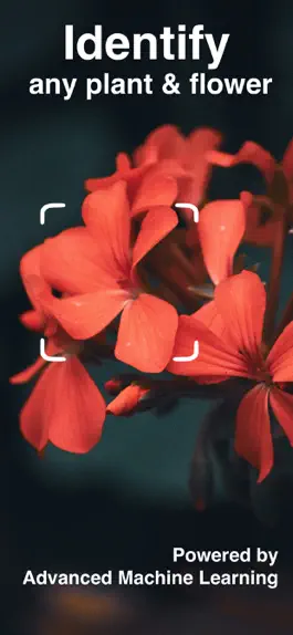 Game screenshot Plant Identifier - Scan Flower mod apk