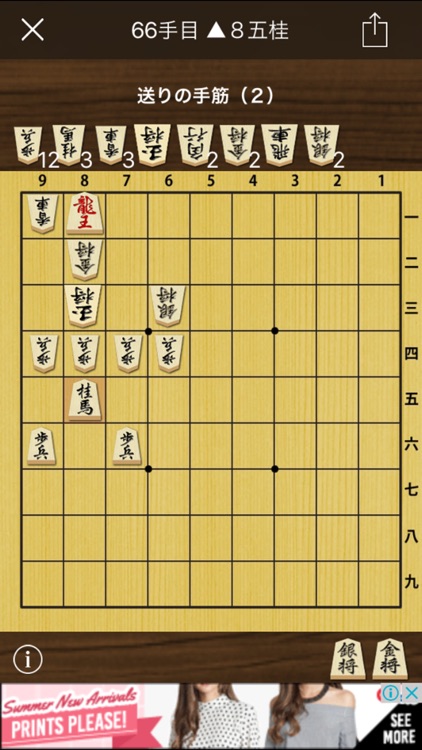 Technique of Japanese Chess