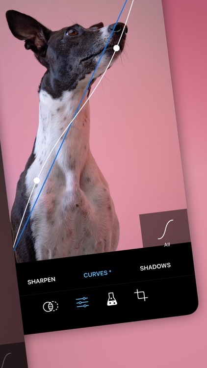 ProCamera. screenshot-6