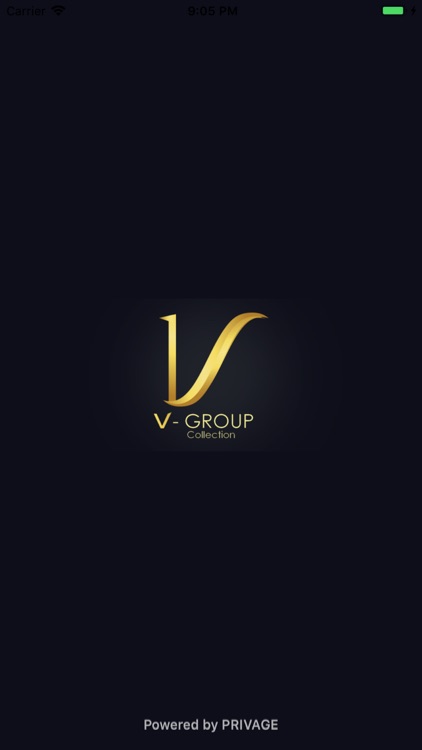 V-Group