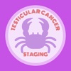 Testicular Cancer Staging