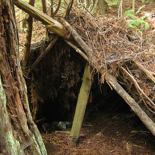 Bushcraft HD