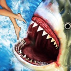 Shark Attack Angry Fish Jaws
