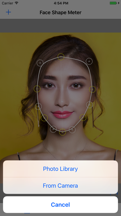 Face Shape Meter - find out your face shape from picture Screenshot 4