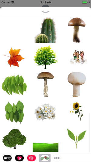 Best Nature Stickers(圖2)-速報App