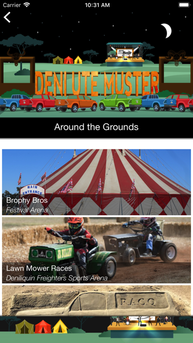 Deni Ute Muster screenshot 3