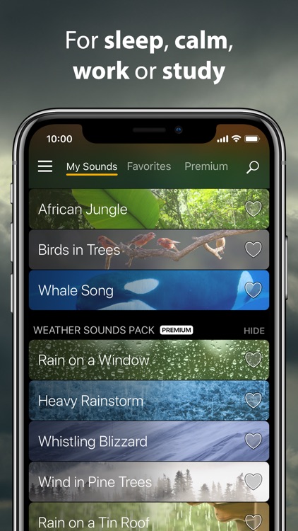 Rain Rain Sleep Sounds screenshot-3