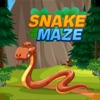 Snake & Maze: Worm Puzzle