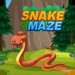 Snake  Maze Worm Puzzle