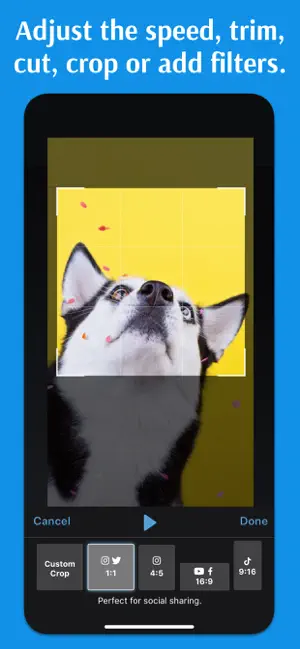 Immagine dello schermo 8 Screencast-O-Matic: Screen Rec iphone