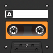 Voice Recorder PRO, Recording