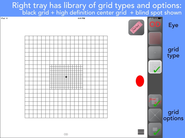 Amsler Grids screenshot-2