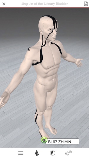 Acupuncture3D(圖4)-速報App