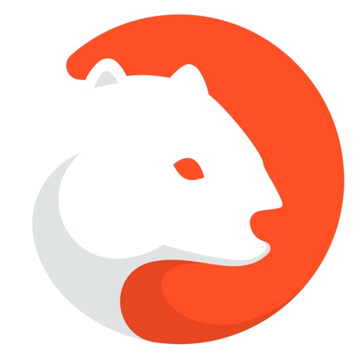 Wombat - Gaming Wallet Icon