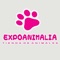 BIENVENIDO A EXPOANIMALIA