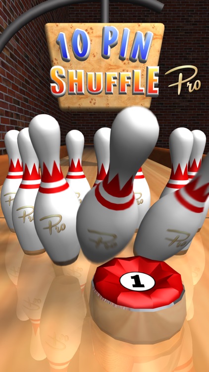 10 Pin Shuffle Pro Bowling