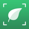 Icon Plant Identifier and info