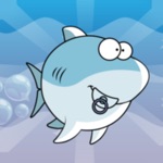 Color Shark  Ceylin-H