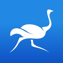 VPN - Secure VPN Ostrich