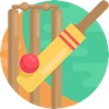 CricLive - Live Cricket Scores