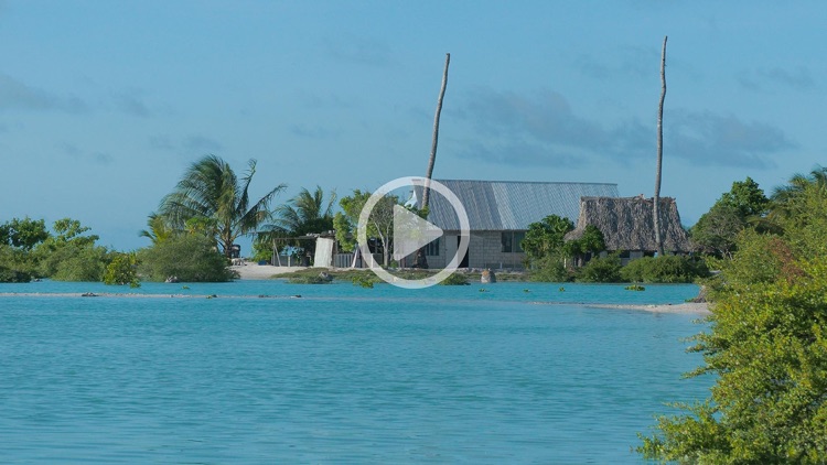 Losing Paradise screenshot-4