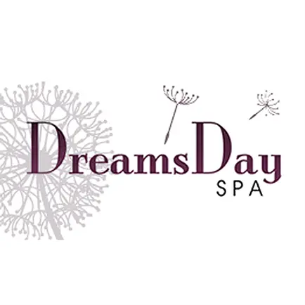 Dreams Day Spa Читы