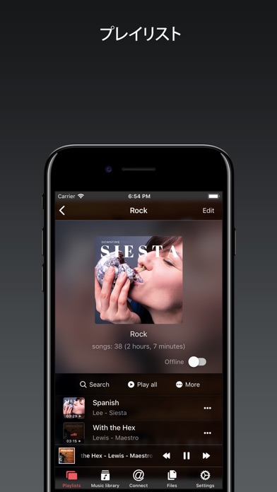 Evermusic Pro - オフライン音楽 screenshot1