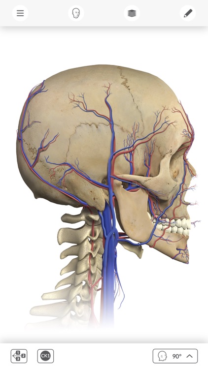 Interactive Anatomy - SE screenshot-3