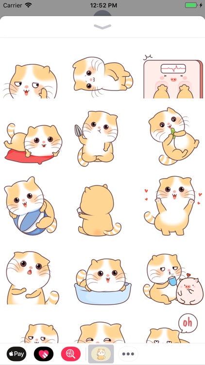 Chubby Kitty Animated Stickers