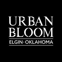 Urban Bloom