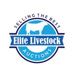 Elite Livestock Auctions