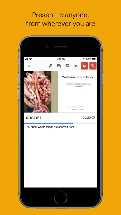 Google Slides screenshot-4