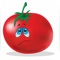 Icon Identify Tomato Plant Diseases