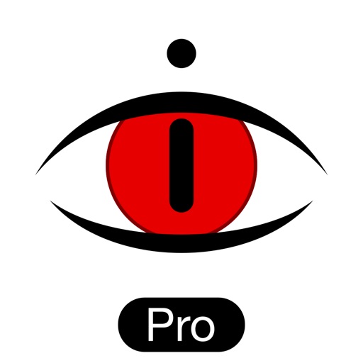 Dideye Pro - flashback camera Icon