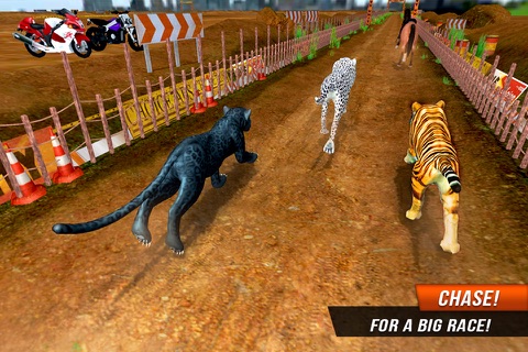 Crazy Wild Black Panther Race screenshot 2