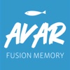 AVAR art Fusion Memory