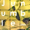 Junumble - Slide