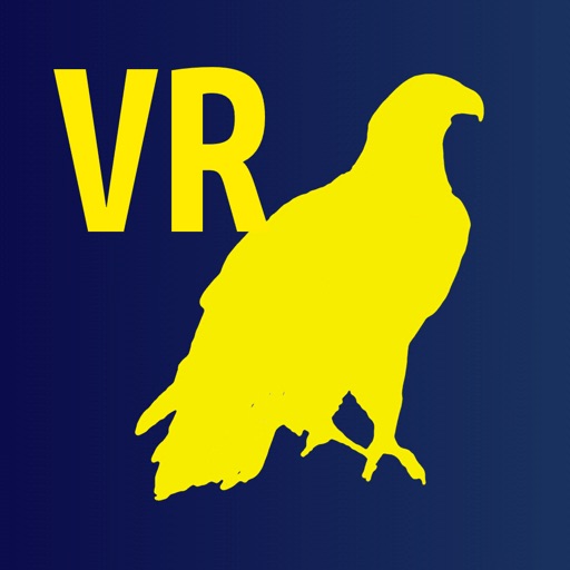 Fly Eagle VR