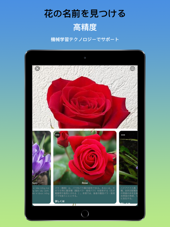 What Flower - 植物を特定 、樹木や花を発見のおすすめ画像1