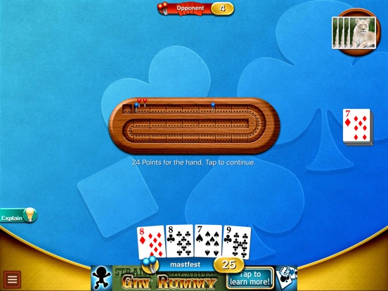 cribbage craze for ios