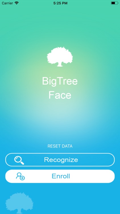 BigTree Face